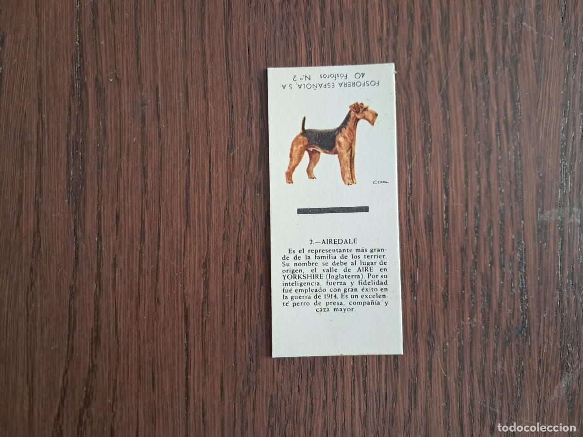 Cajas de cerillas: Caja de cerillas - Perros - N&ordm; 2 Airedale - Fosforera Espa&ntilde;ola n&ordm; 2, a&ntilde;os 60-70.
