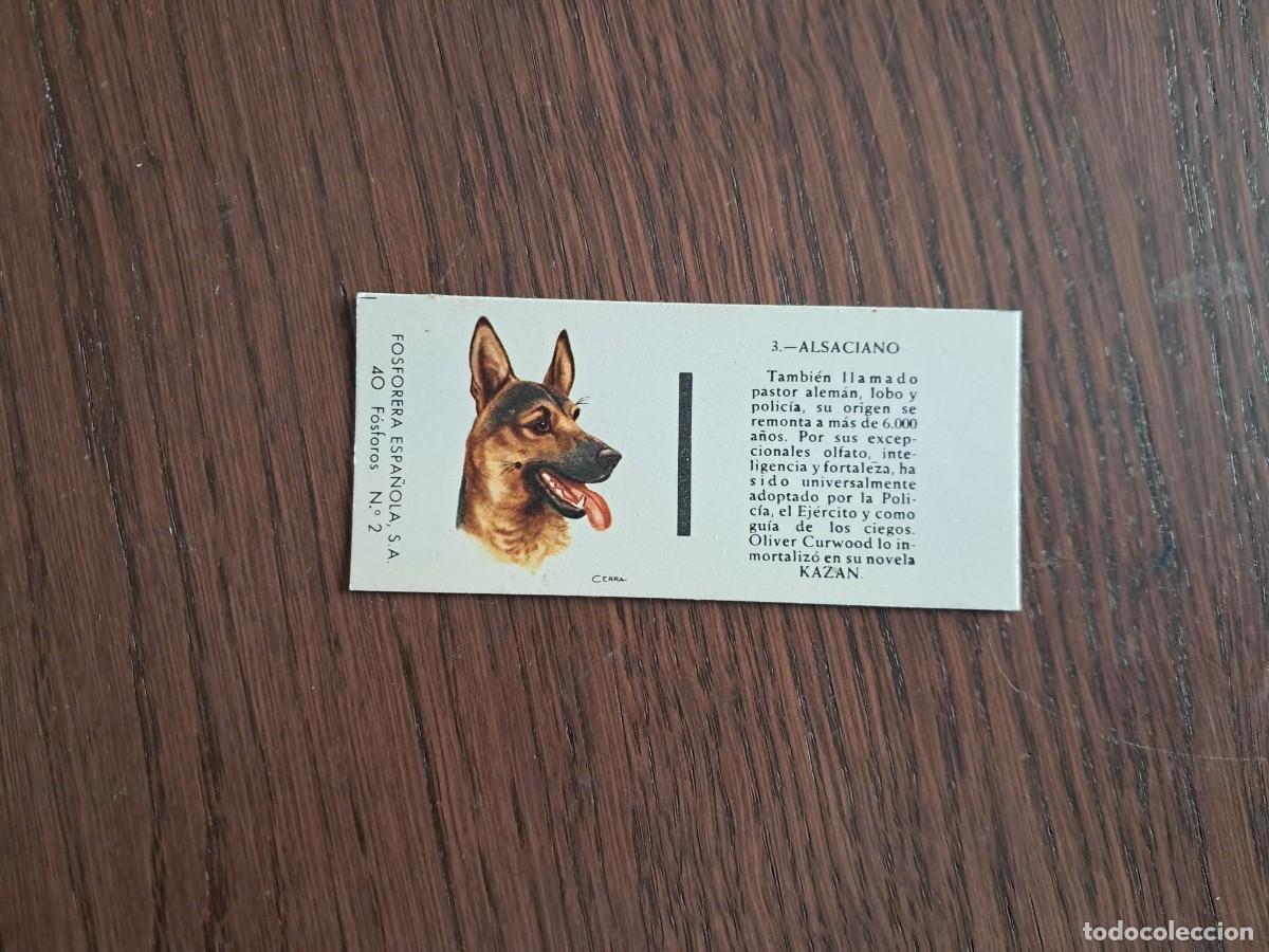 Cajas de cerillas: Caja de cerillas - Perros - N&ordm; 3 Alsaciano - Fosforera Espa&ntilde;ola n&ordm; 2, a&ntilde;os 60-70.