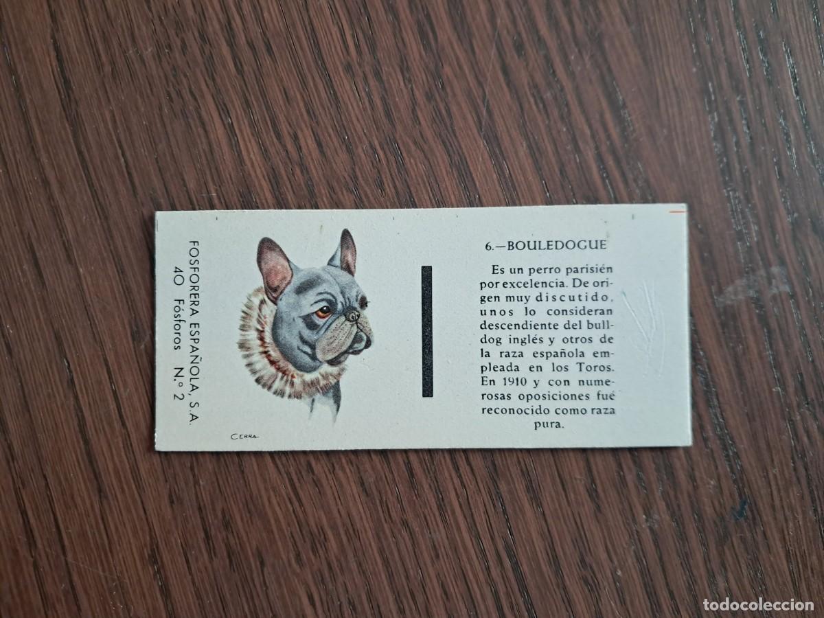 Cajas de cerillas: Caja de cerillas - Perros - N&ordm; 6 Bouledogue - Fosforera Espa&ntilde;ola n&ordm; 2, a&ntilde;os 60-70.