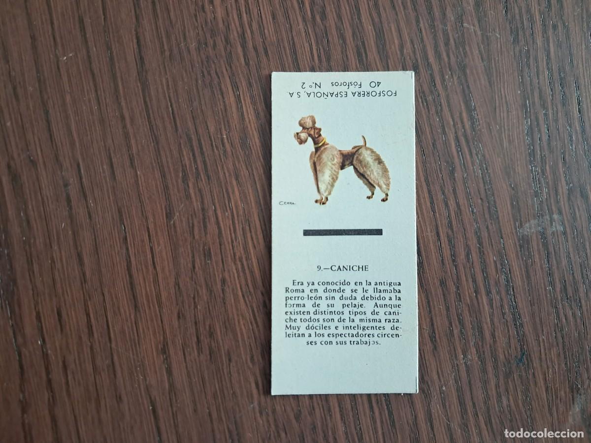 Cajas de cerillas: Caja de cerillas - Perros - N&ordm; 9 caniche - Fosforera Espa&ntilde;ola n&ordm; 2, a&ntilde;os 60-70.