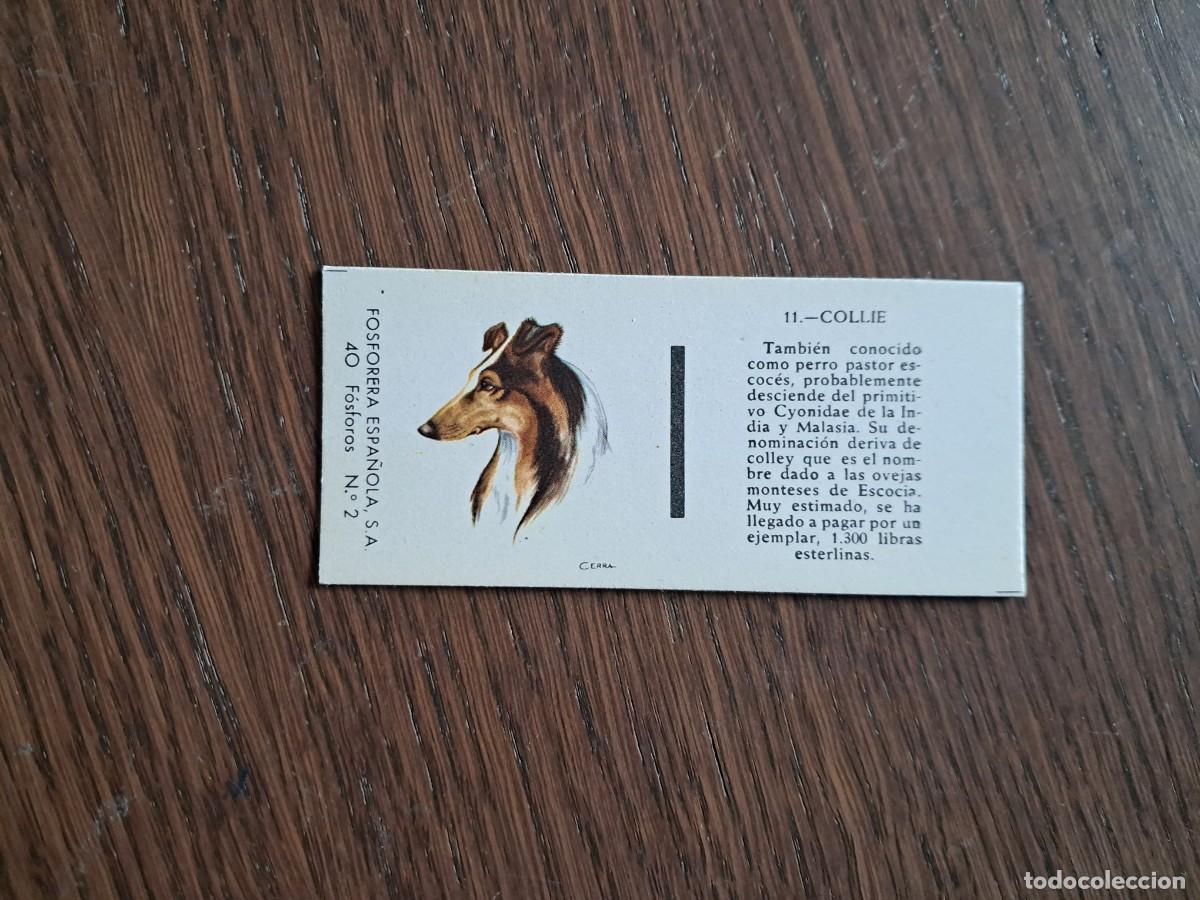 Cajas de cerillas: Caja de cerillas - Perros - N&ordm; 11 Collie - Fosforera Espa&ntilde;ola n&ordm; 2, a&ntilde;os 60-70.