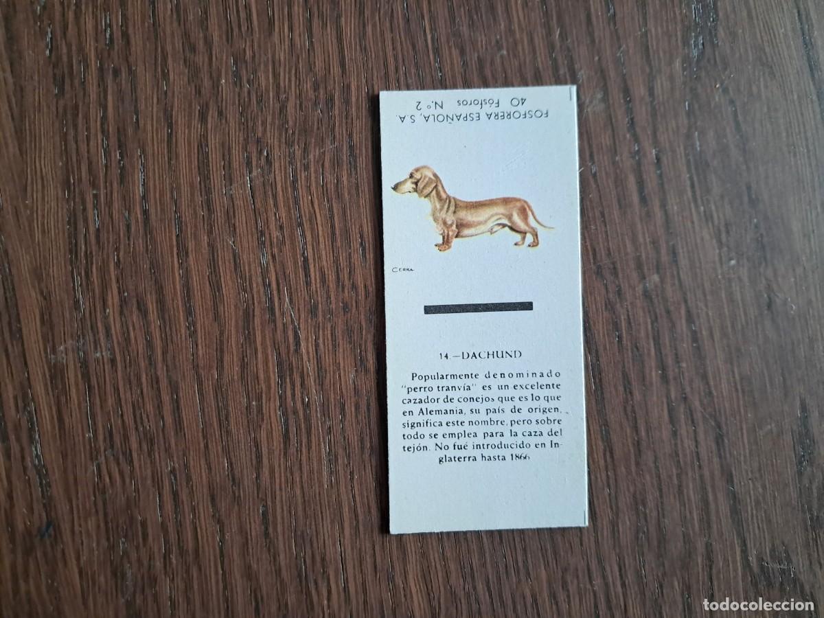 Cajas de cerillas: Caja de cerillas - Perros - N&ordm; 14 Dachund - Fosforera Espa&ntilde;ola n&ordm; 2, a&ntilde;os 60-70.