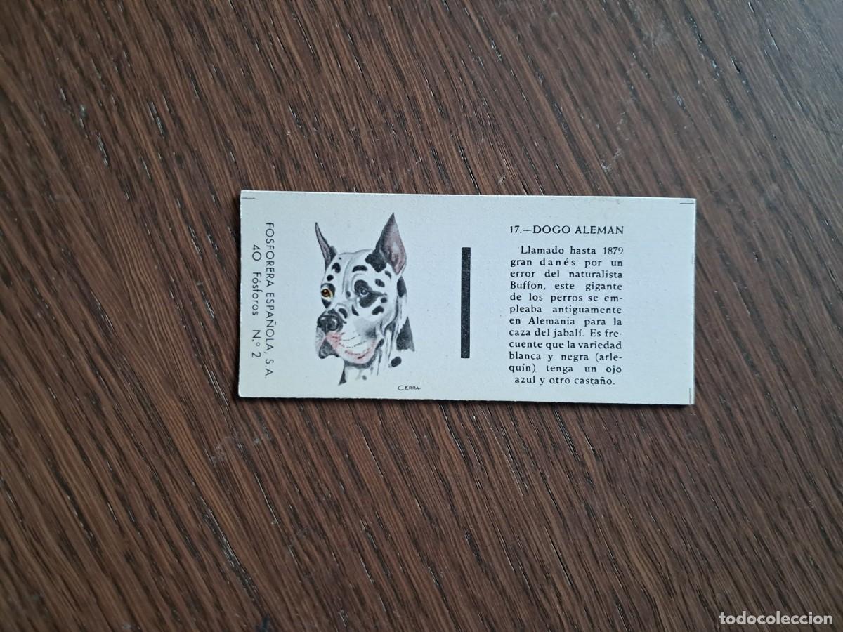 Cajas de cerillas: Caja de cerillas - Perros - N&ordm; 17 Dogo alem&aacute;n - Fosforera Espa&ntilde;ola n&ordm; 2, a&ntilde;os 60-70.