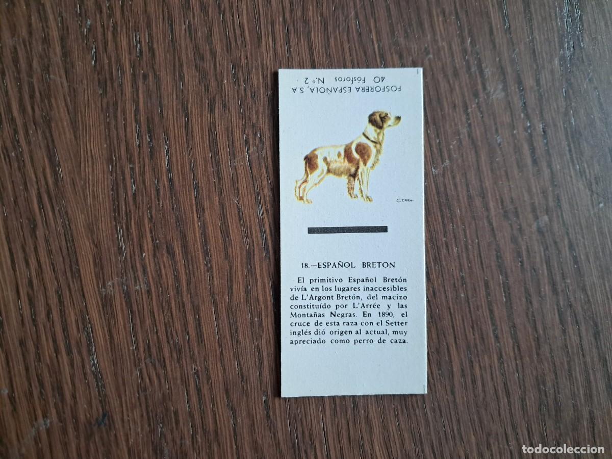 Cajas de cerillas: Caja de cerillas - Perros - N&ordm; 18 espa&ntilde;ol bret&oacute;n - Fosforera Espa&ntilde;ola n&ordm; 2, a&ntilde;os 60-70.