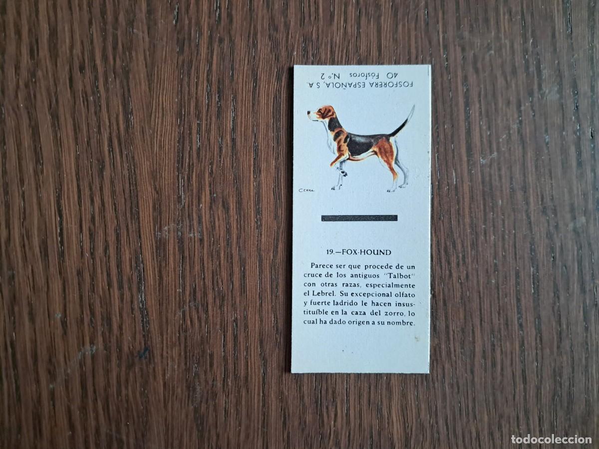 Cajas de cerillas: Caja de cerillas - Perros - N&ordm; 19 Fox hound - Fosforera Espa&ntilde;ola n&ordm; 2, a&ntilde;os 60-70.