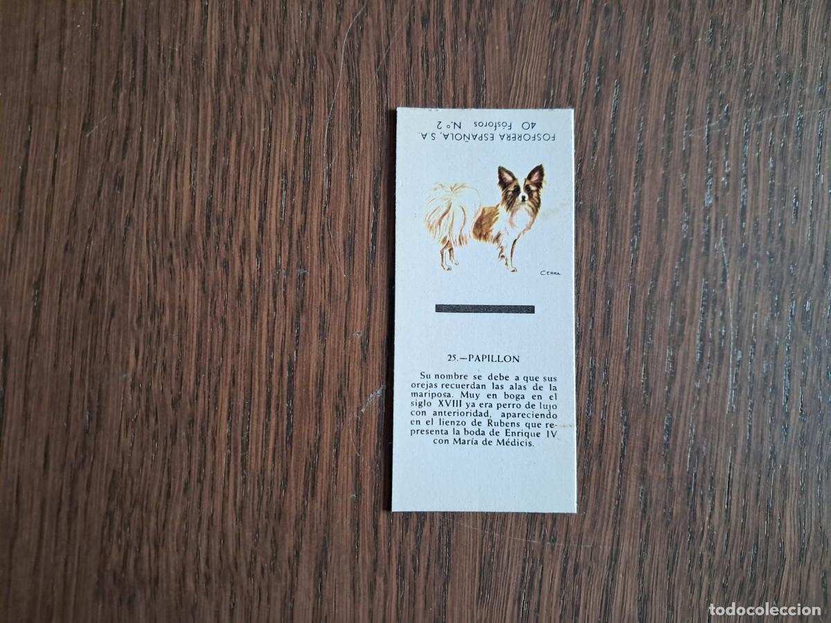 Cajas de cerillas: Caja de cerillas - Perros - N&ordm; 25 papillon - Fosforera Espa&ntilde;ola n&ordm; 2, a&ntilde;os 60-70.