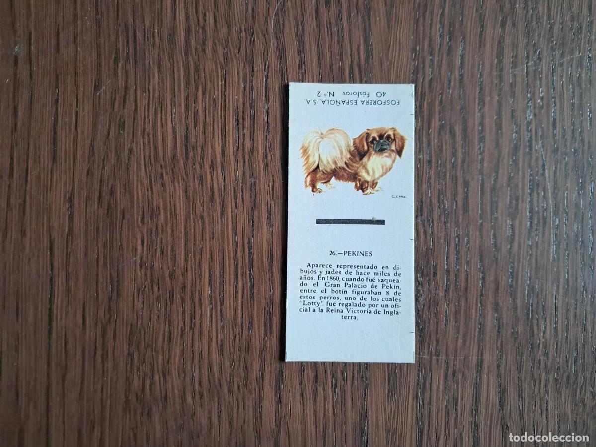 Cajas de cerillas: Caja de cerillas - Perros - N&ordm; 26 pekines - Fosforera Espa&ntilde;ola n&ordm; 2, a&ntilde;os 60-70.