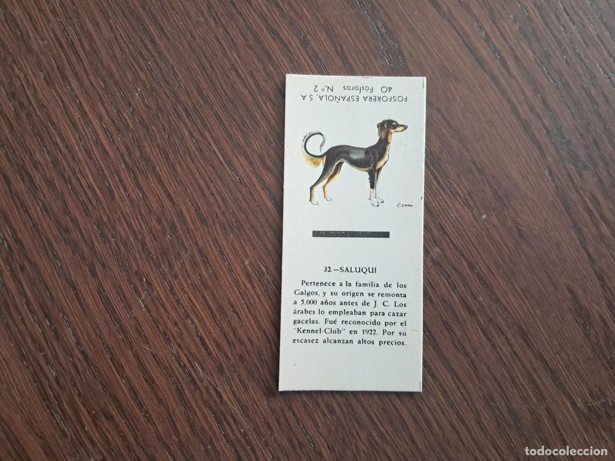 Cajas de cerillas: Caja de cerillas - Perros - N&ordm; 32 Saluqui - Fosforera Espa&ntilde;ola n&ordm; 2, a&ntilde;os 60-70.