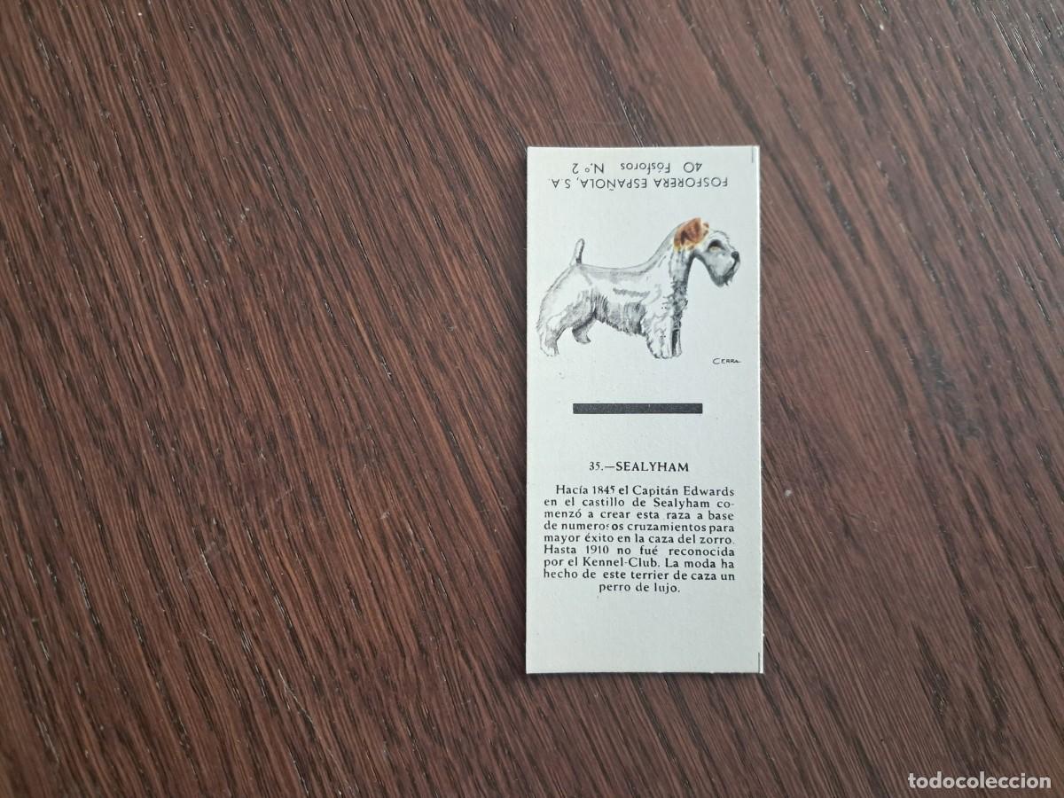 Cajas de cerillas: Caja de cerillas - Perros - N&ordm; 35 Sealyham - Fosforera Espa&ntilde;ola n&ordm; 2, a&ntilde;os 60-70.