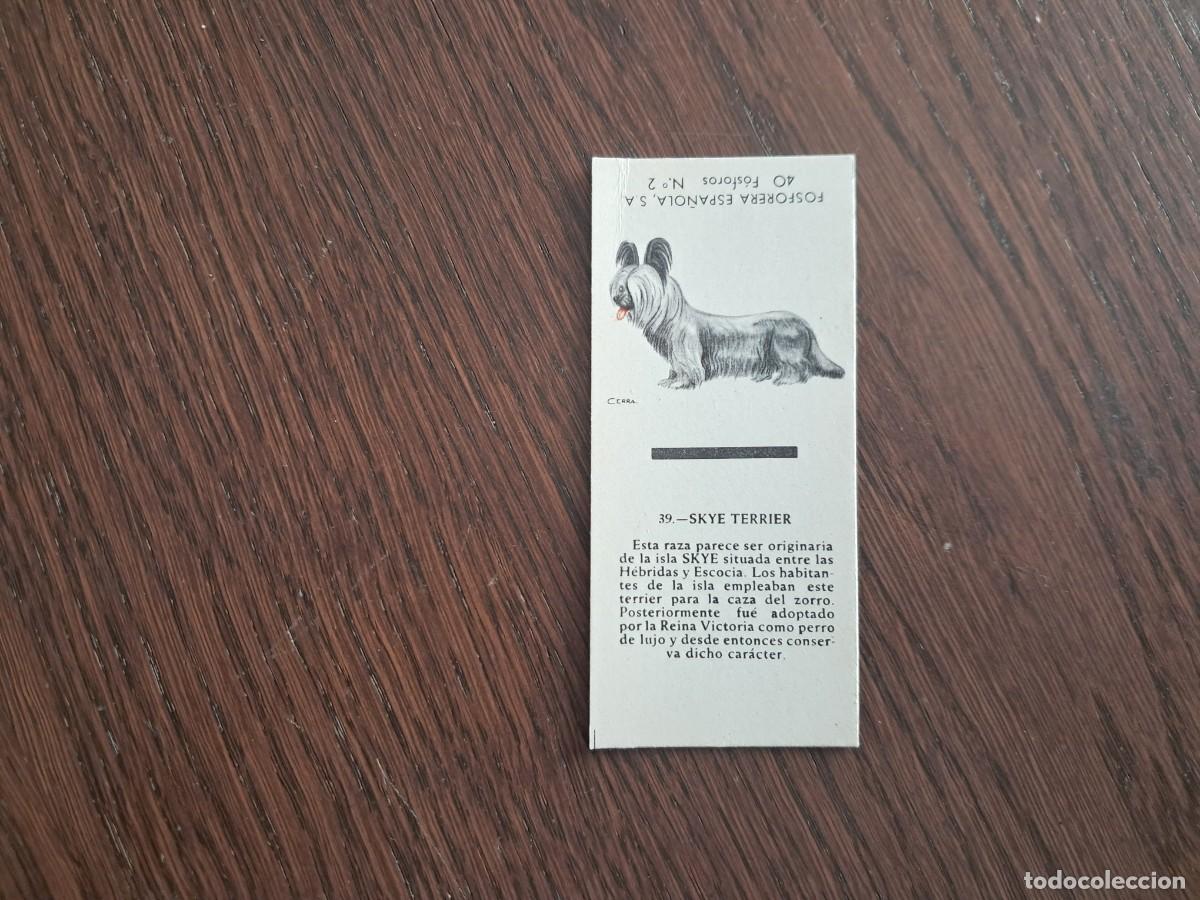 Cajas de cerillas: Caja de cerillas - Perros - N&ordm; 39 Skye Terrier - Fosforera Espa&ntilde;ola n&ordm; 2, a&ntilde;os 60-70.