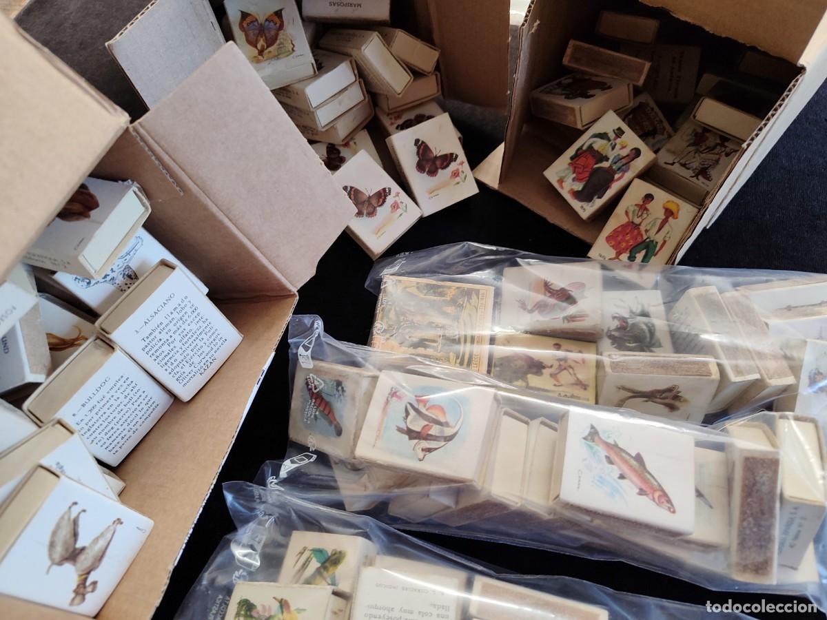 Streichholzschachteln: LOTE DE 131 CAJAS DE CERILLAS. VARIAS COLECCIONES. FOSFORERA ESPA&Ntilde;OLA. A&Ntilde;OS 50-60