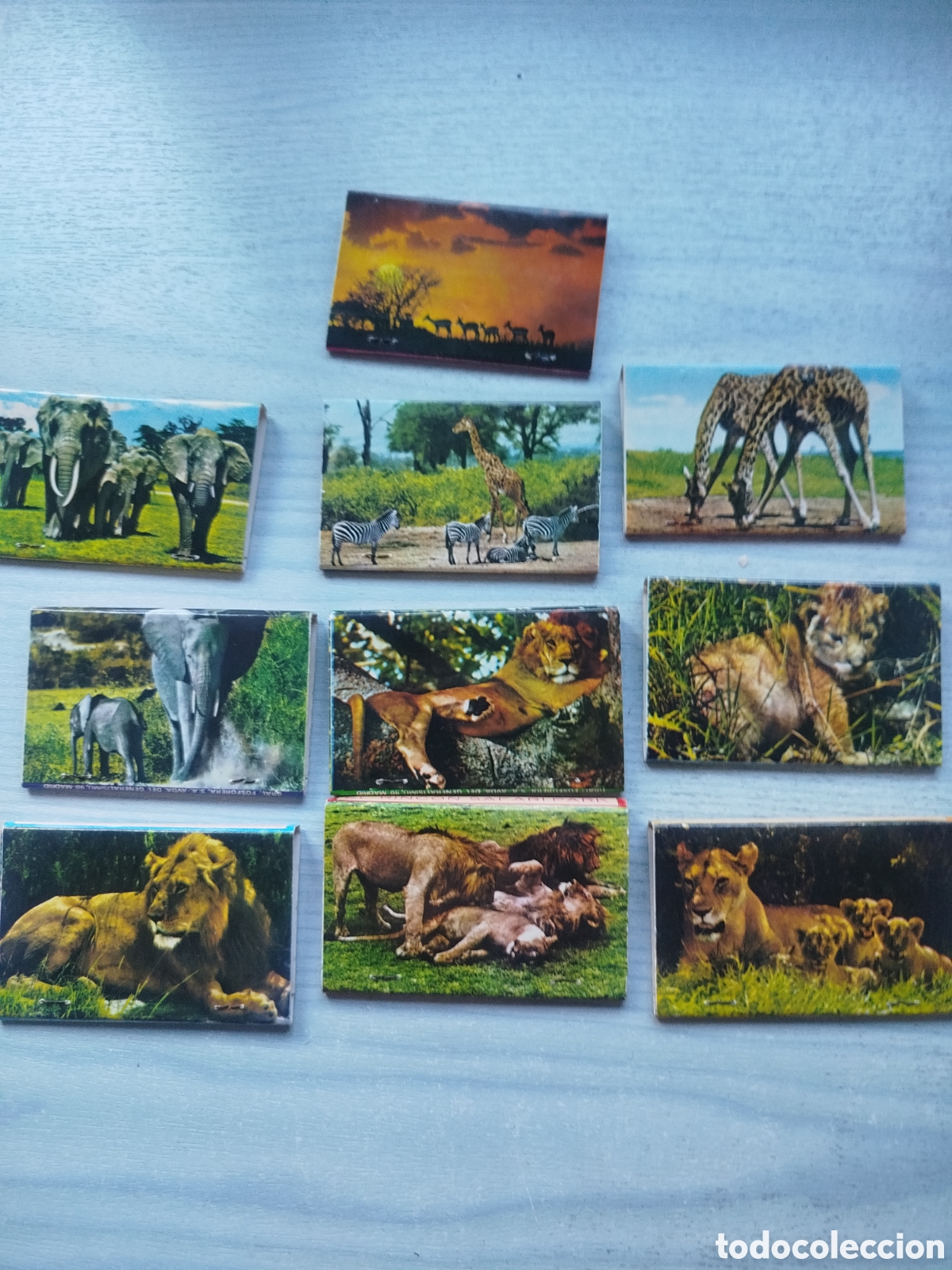 Cajas de cerillas: Cerillas serie 10 cajas rinc&oacute;n safari park