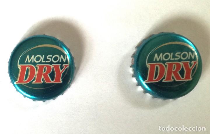 Coleccionismo de cervezas: 2 CHAPAS CERVEZA MOLSON DRY CANADA
