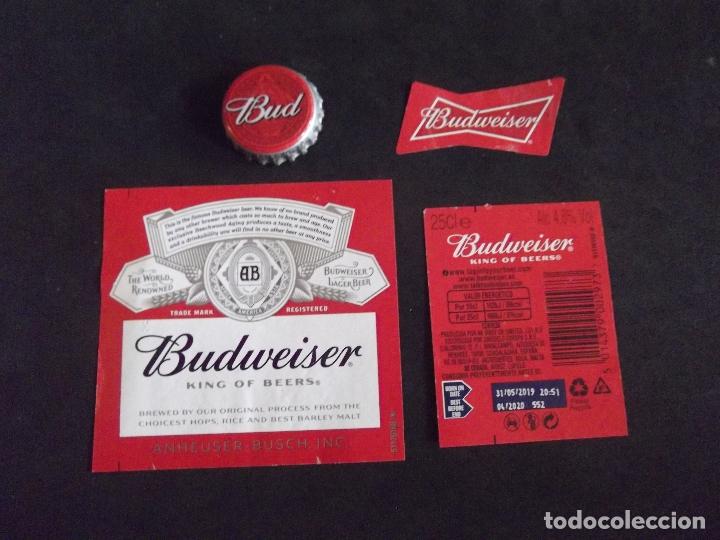 Collectionnisme de bi&egrave;res: CERVEZA-V9F-8-ETIQUETAS Y CHAPA-BUDWEISER