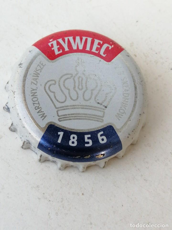 Coleccionismo de cervezas: BOTTLE CAP CHAPA BEER TAP&Oacute;N CORONA CAPSULE BIERE CERVEZA ZYWIEC(3).POLONIA.--LOTE N. 2185--CARMANJO