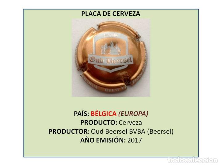 Coleccionismo de cervezas: TAPON CORONA CAPSULA CHAPA CERVEZA &rdquo;MUSELET&rdquo; DE OUD BEERSEL (B&Eacute;LGICA)