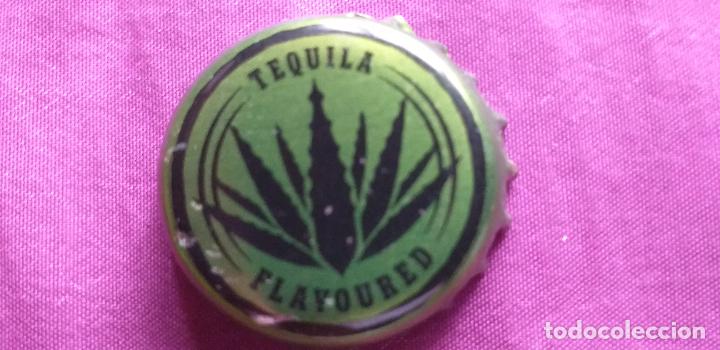 Colecionismo de cervejas: CERVEZA-V9-II-CHAPA-TAPON-CORONA-TEQUILA