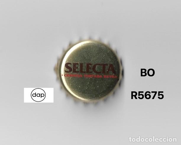 Coleccionismo de cervezas: TAPON CORONA CHAPA BEER BOTTLE CAP KRONKORKEN TAPPI CAPSULE SAN MIGUEL SELECTA