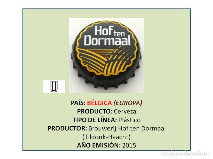 Coleccionismo de cervezas: TAPON CORONA CAPSULA CHAPA CERVEZA HOF TEN DORMAAL (B&Eacute;LGICA)