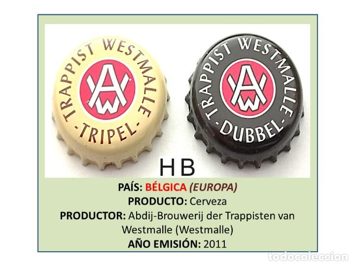 Coleccionismo de cervezas: TAPON CORONA CAPSULA CHAPA CERVEZA &rdquo;LOTE&rdquo; TRAPPIST WESTMALLE (B&Eacute;LGICA)