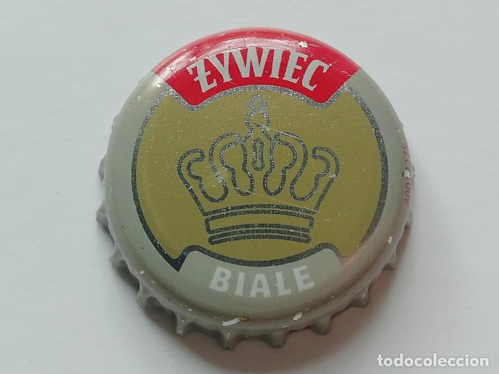 Coleccionismo de cervezas: Chapa tap&oacute;n corona de la cerveza polaca ZYWIEC BIALE