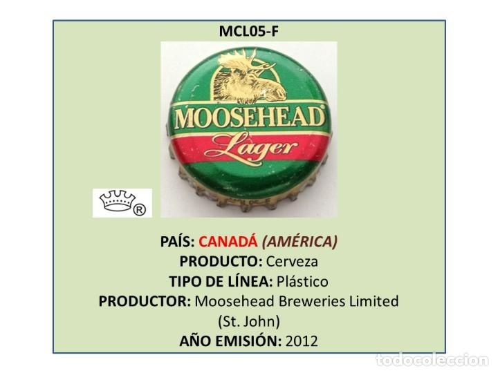 Coleccionismo de cervezas: TAPON CORONA CAPSULA CHAPA CERVEZA MOOSEHEAD LAGER (CANAD&Aacute;)