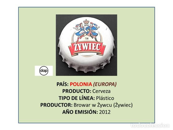 Coleccionismo de cervezas: TAPON CORONA CAPSULA CHAPA CERVEZA ZYWIEC (POLONIA)