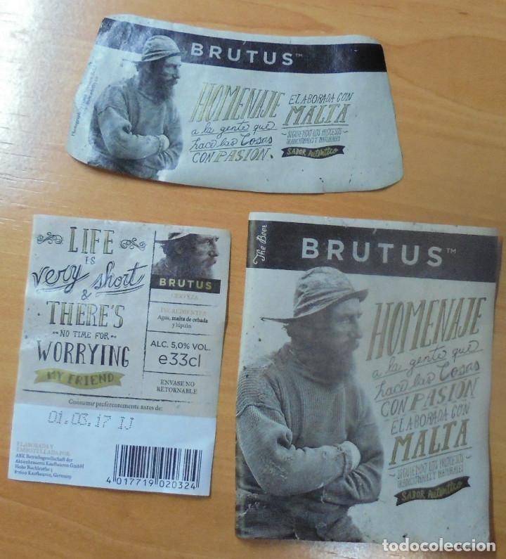 Coleccionismo de cervezas: ETIQUETA CERVEZA BRUTUS DELANTERA TRASERA Y COLLAR&Iacute;N. BOTELLA DE 33 cl