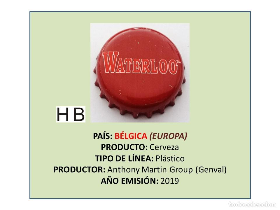 Collectable Beer: TAPON CORONA CAPSULA CHAPA CERVEZA WATERLOO (B&Eacute;LGICA)