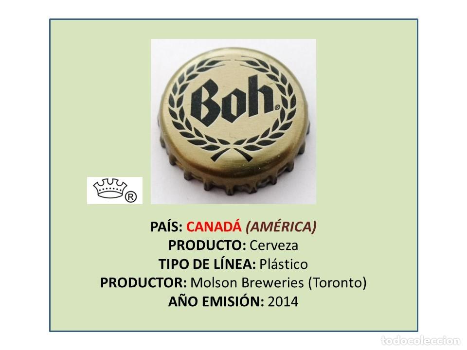 Coleccionismo de cervezas: TAPON CORONA CAPSULA CHAPA CERVEZA BOH (CANAD&Aacute;)