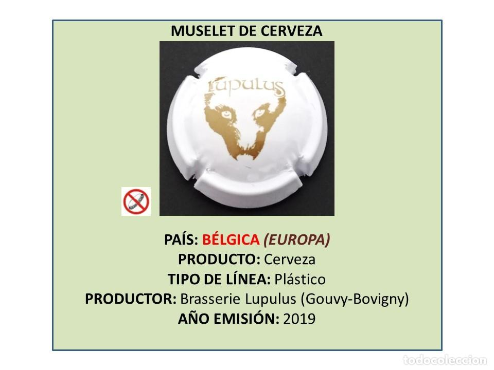 Coleccionismo de cervezas: TAPON CORONA CAPSULA CHAPA CERVEZA &rdquo;MUSELET&rdquo; DE LUPULUS (B&Eacute;LGICA)