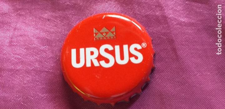 Coleccionismo de cervezas: CERVEZA-V9H-IX-CHAPA-TAPON-CORONA-URSUS