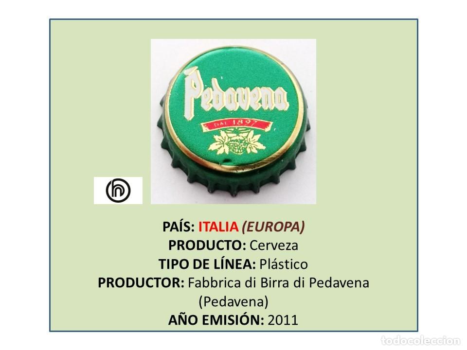 Coleccionismo de cervezas: TAPON CORONA CAPSULA CHAPA CERVEZA PEDAVENA (ITALIA)