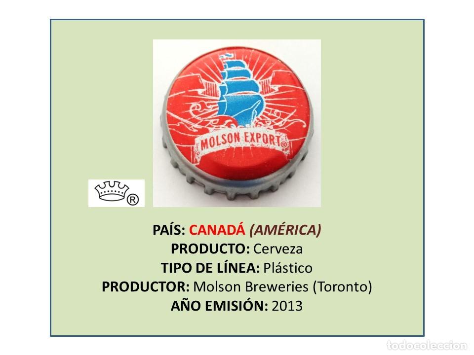 Coleccionismo de cervezas: TAPON CORONA CAPSULA CHAPA CERVEZA MOLSON EXPORT (CANAD&Aacute;)