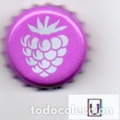 Coleccionismo de cervezas: chapa - sidra - ESPA&Ntilde;A - Wild Panther Blackberry