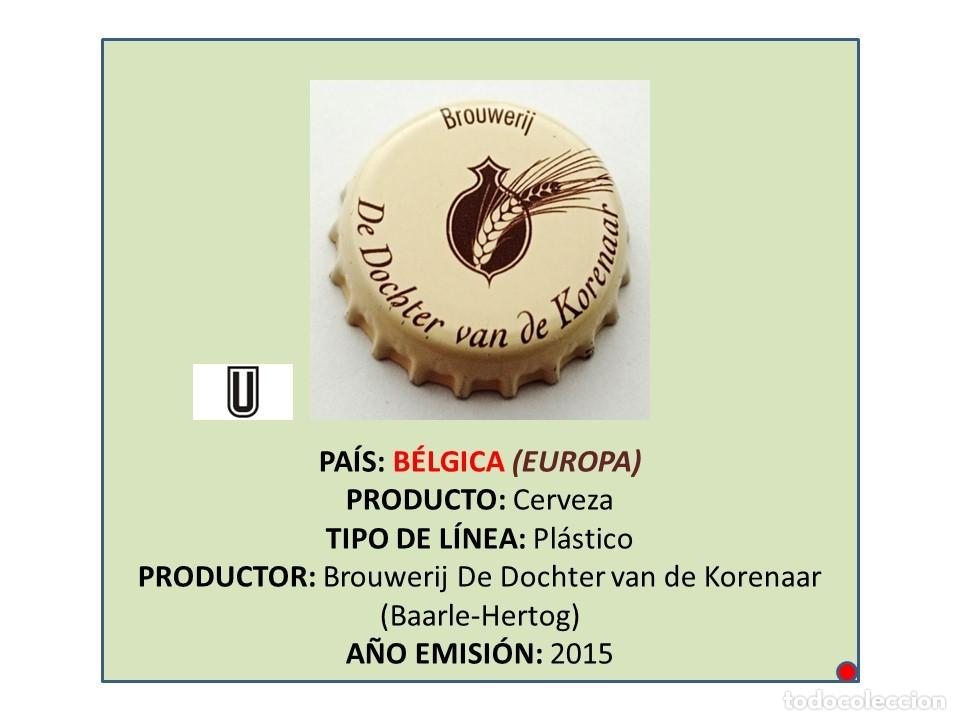 Sammeln von Brauereiartikeln: TAPON CORONA CAPSULA CHAPA CERVEZA DE DOCHTER (B&Eacute;LGICA)