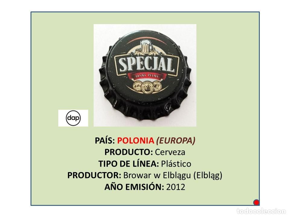 Coleccionismo de cervezas: TAPON CORONA CAPSULA CHAPA CERVEZA ZYWIEC SPECJAL (POLONIA)
