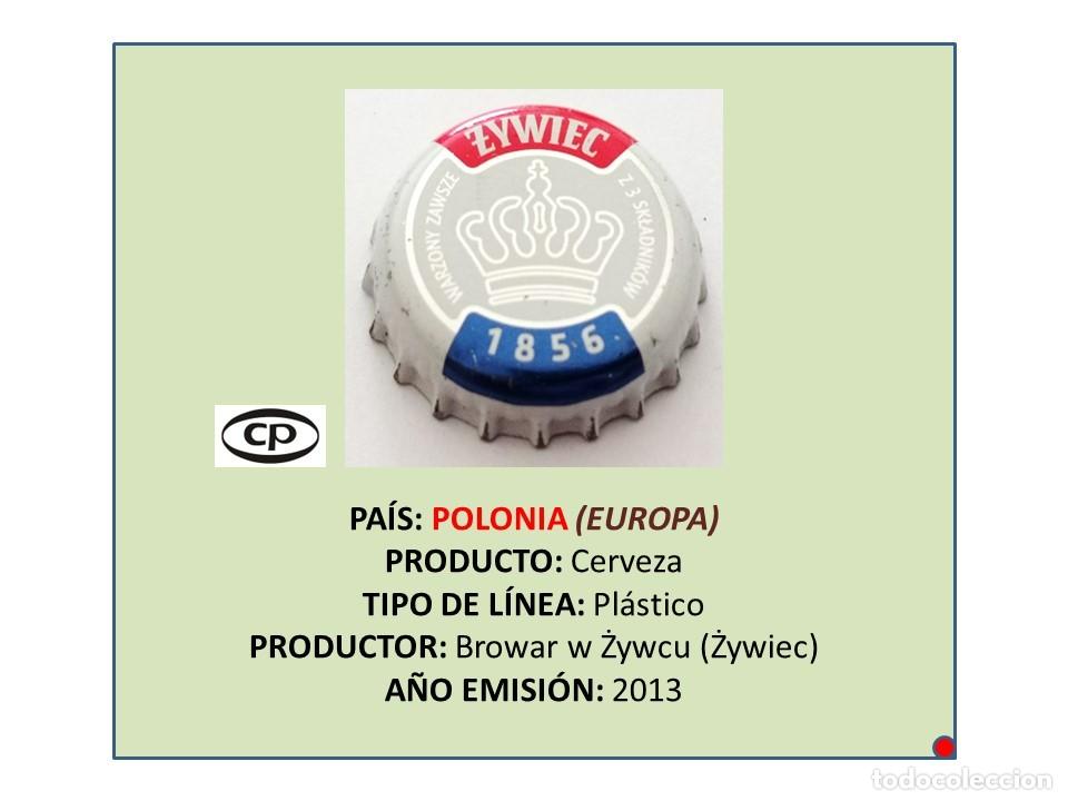 Coleccionismo de cervezas: TAPON CORONA CAPSULA CHAPA CERVEZA ZYWIEC 1856 (POLONIA)