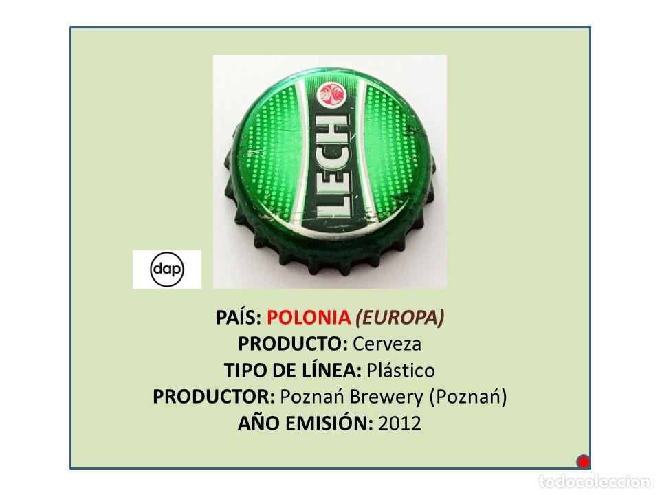 Coleccionismo de cervezas: TAPON CORONA CAPSULA CHAPA CERVEZA LECH (POLONIA)