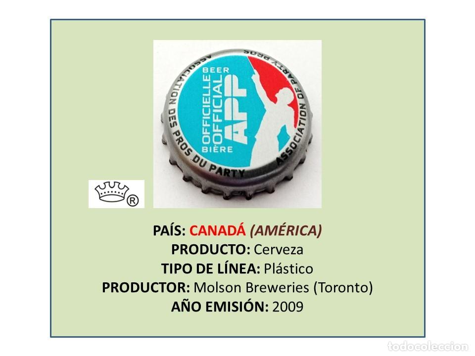 Coleccionismo de cervezas: TAPON CORONA CAPSULA CHAPA CERVEZA MOLSON APP (CANAD&Aacute;)