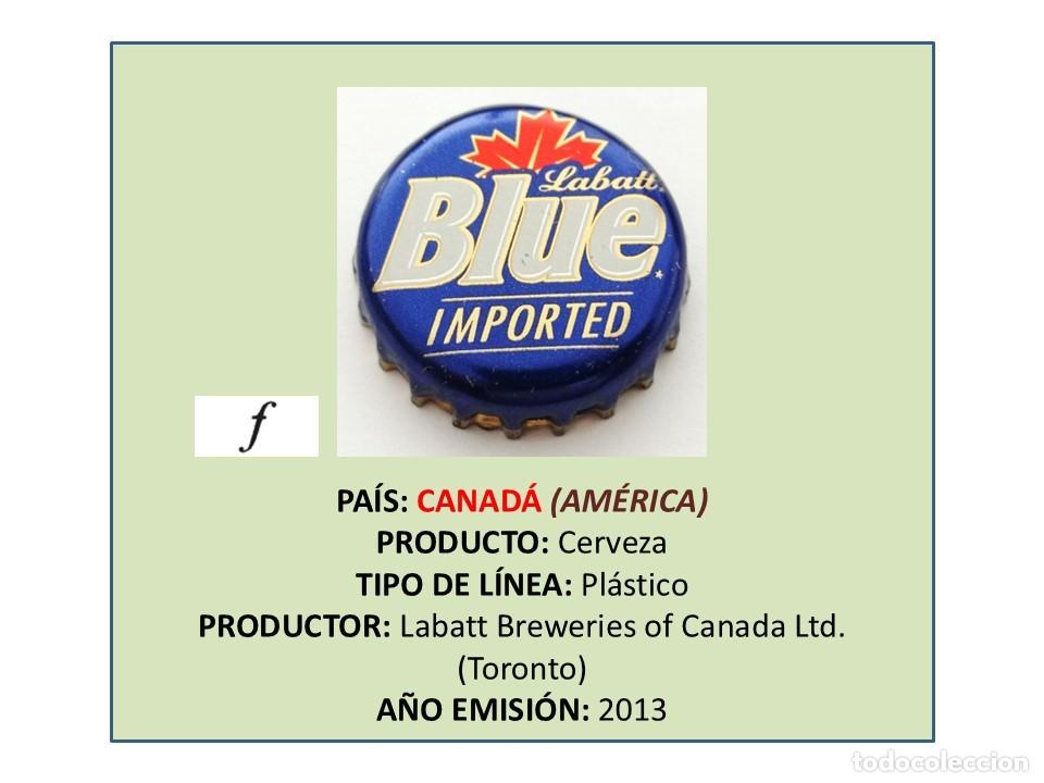 Coleccionismo de cervezas: TAPON CORONA CAPSULA CHAPA CERVEZA LABATT BLUE IMPORTED (CANAD&Aacute;)