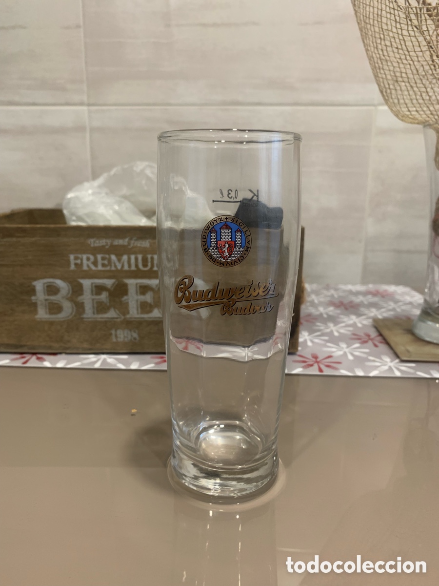 Vaso cerveza Budweiser