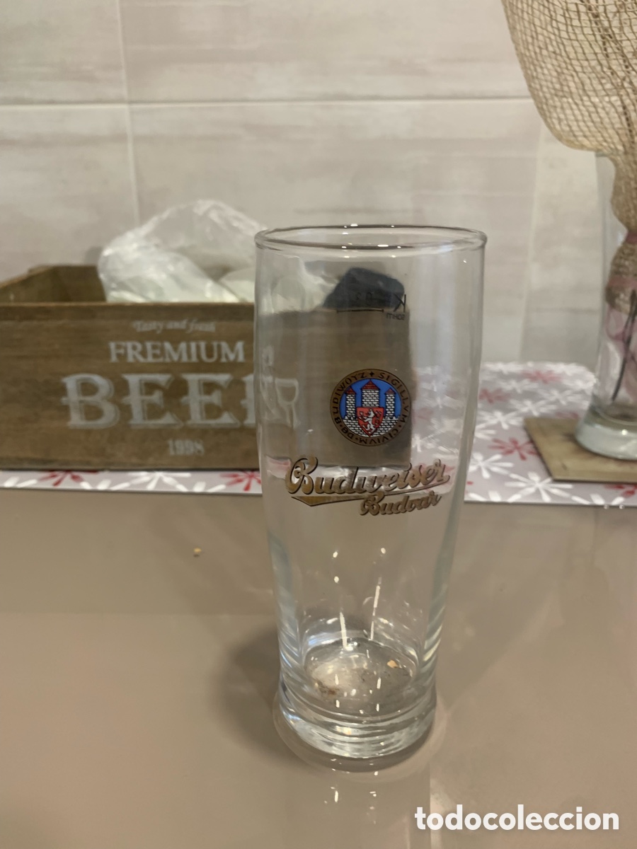 Vaso cerveza Budweiser
