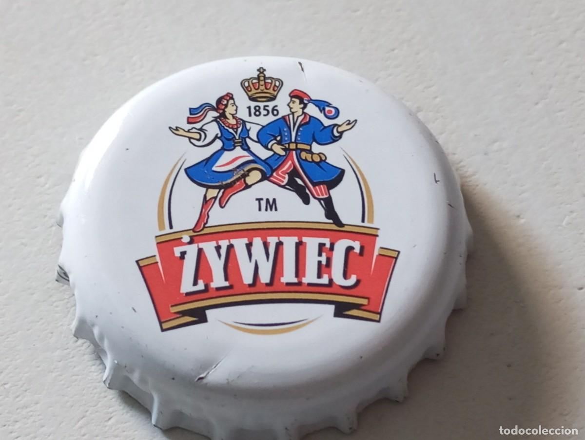Colecionismo de cervejas: Chapa tap&oacute;n corona de la cerveza polaca ZYWIEC