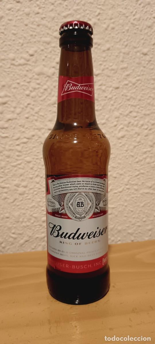 Coleccionismo de cervezas: Cerveza Budweiser-belga-vacia-1.