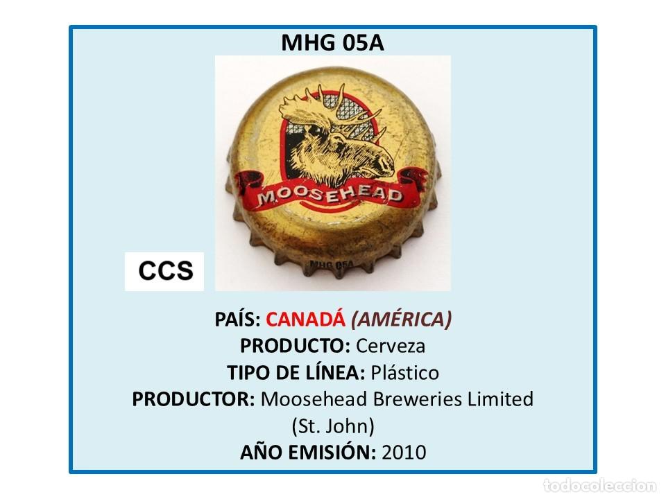 Coleccionismo de cervezas: TAPON CORONA CAPSULA CHAPA CERVEZA MOOSEHEAD (CANAD&Aacute;)