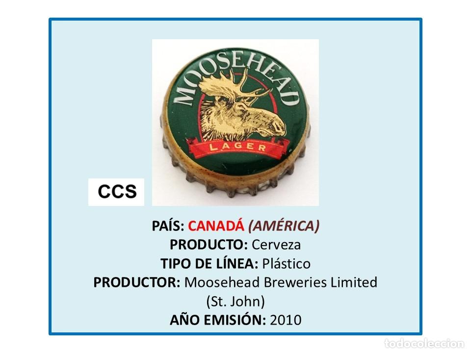 Coleccionismo de cervezas: TAPON CORONA CAPSULA CHAPA CERVEZA MOOSEHEAD LAGER (CANAD&Aacute;)