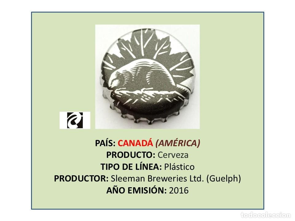 Coleccionismo de cervezas: TAPON CORONA CAPSULA CHAPA CERVEZA SLEEMAN (CANAD&Aacute;)