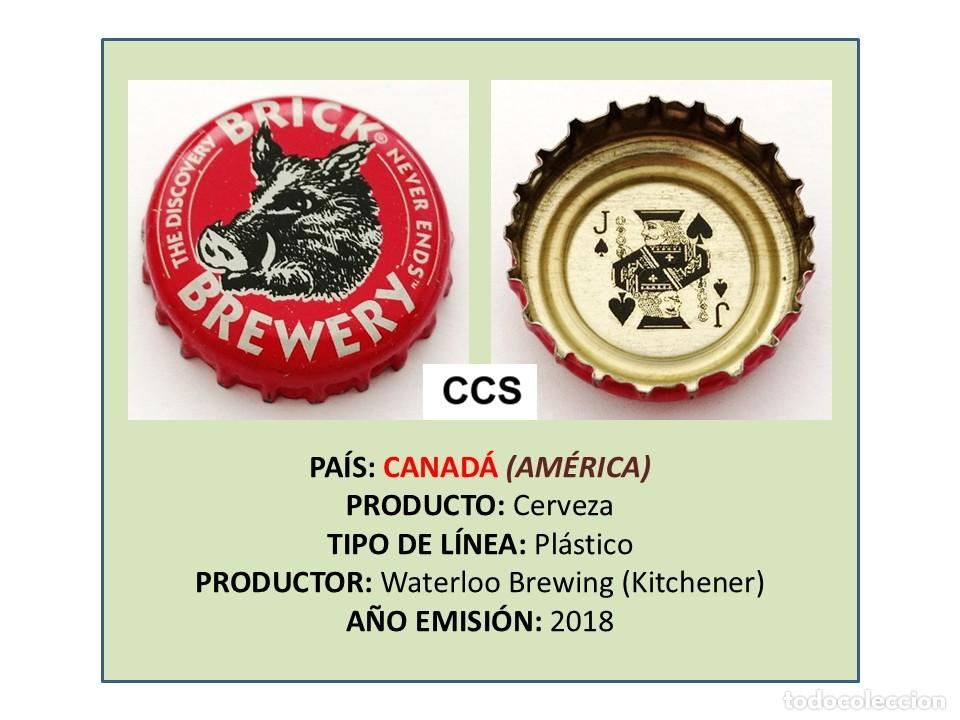 Coleccionismo de cervezas: TAPON CORONA CAPSULA CHAPA CERVEZA BRICK (CANAD&Aacute;)