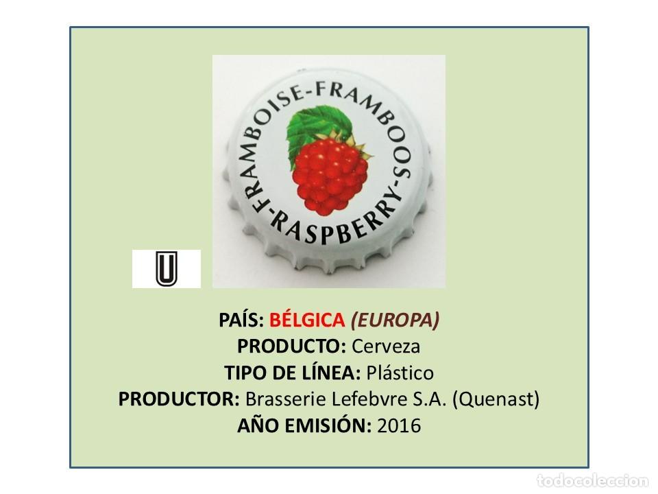 Coleccionismo de cervezas: TAPON CORONA CAPSULA CHAPA CERVEZA LEFEBVRE FRAMBOISE (B&Eacute;LGICA)